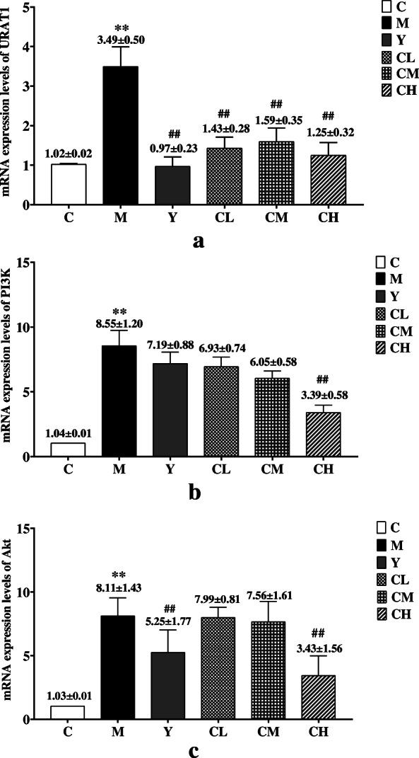 https://cdn.ncbi.nlm.nih.gov/pmc/blobs/2524/8235650/37f501f8835d/12906_2021_3350_Fig9_HTML.jpg