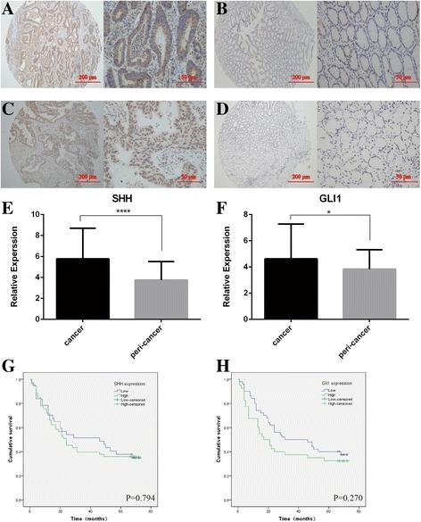 https://cdn.ncbi.nlm.nih.gov/pmc/blobs/2526/5387201/236134f8d6e5/13046_2017_526_Fig4_HTML.jpg