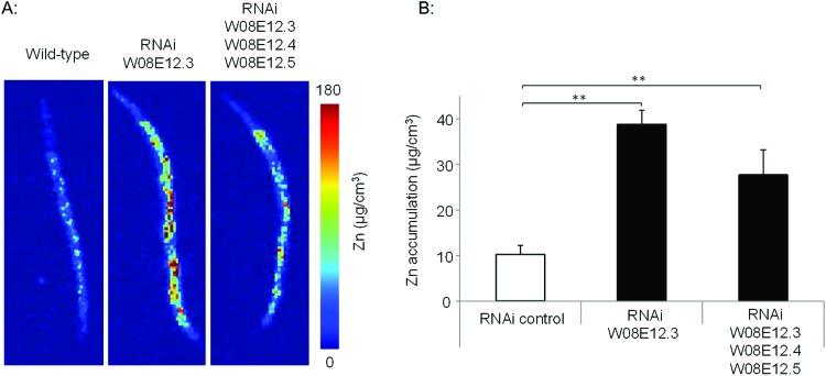 https://cdn.ncbi.nlm.nih.gov/pmc/blobs/2526/6336089/ced2b23f3b5a/c8mt00169c-f3.jpg