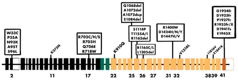 https://cdn.ncbi.nlm.nih.gov/pmc/blobs/2527/11395477/799931a1e4ce/ijms-25-09435-g007.jpg