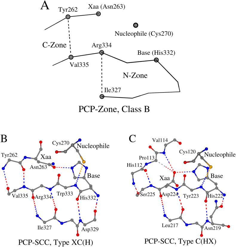 https://cdn.ncbi.nlm.nih.gov/pmc/blobs/2527/7548629/a83801f05942/gr2_lrg.jpg
