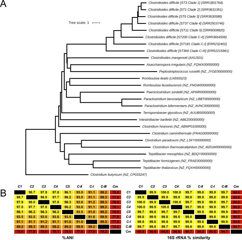 https://cdn.ncbi.nlm.nih.gov/pmc/blobs/2529/8241443/c16cabf127b9/elife-64325-fig5.jpg