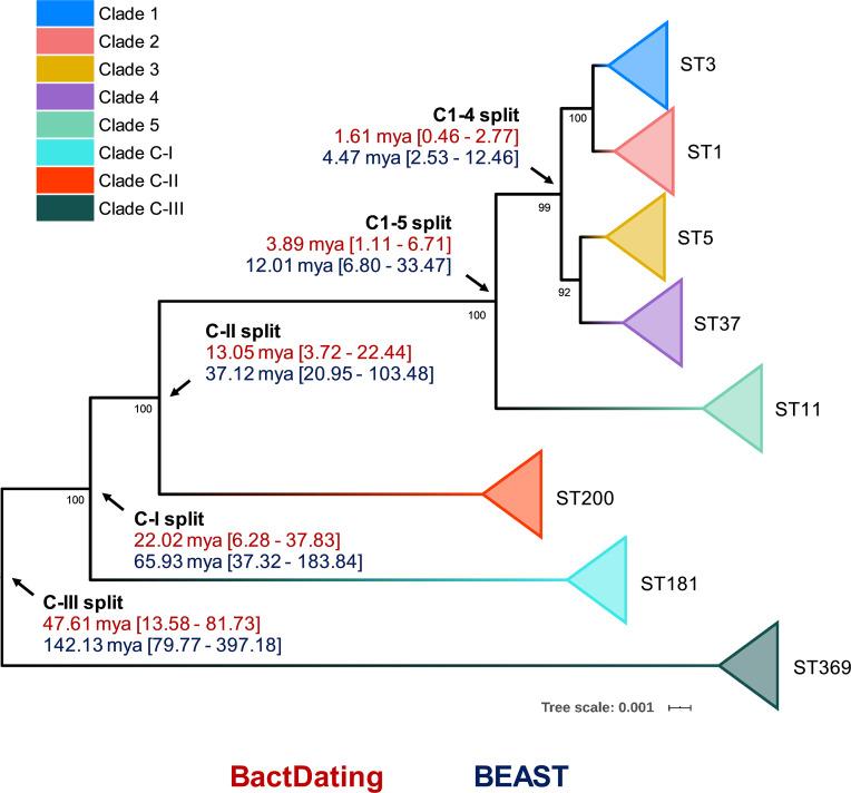 https://cdn.ncbi.nlm.nih.gov/pmc/blobs/2529/8241443/c614bfaa6acb/elife-64325-fig4.jpg