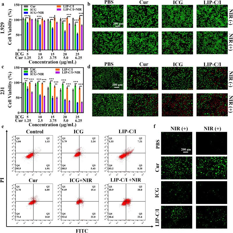 https://cdn.ncbi.nlm.nih.gov/pmc/blobs/252a/11967351/cffe8d376ed4/IJN-20-3861-g0007.jpg