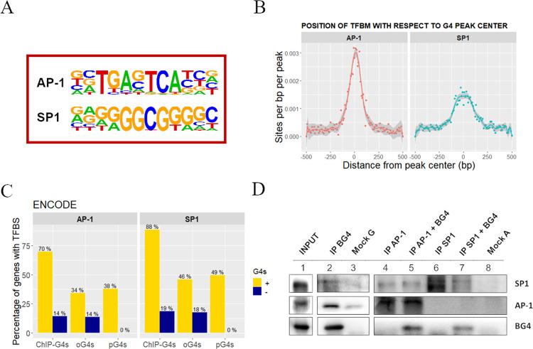 https://cdn.ncbi.nlm.nih.gov/pmc/blobs/252c/8222265/99d05018d77b/41467_2021_24198_Fig5_HTML.jpg
