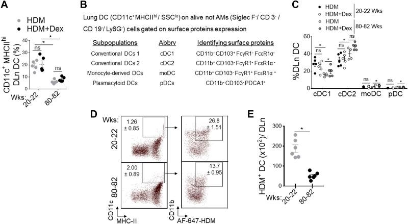 https://cdn.ncbi.nlm.nih.gov/pmc/blobs/252d/8759962/25cd267d5e5f/ajplung.00315.2021_f002.jpg