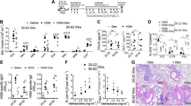 https://cdn.ncbi.nlm.nih.gov/pmc/blobs/252d/8759962/c7112092bcd4/ajplung.00315.2021_f001.jpg
