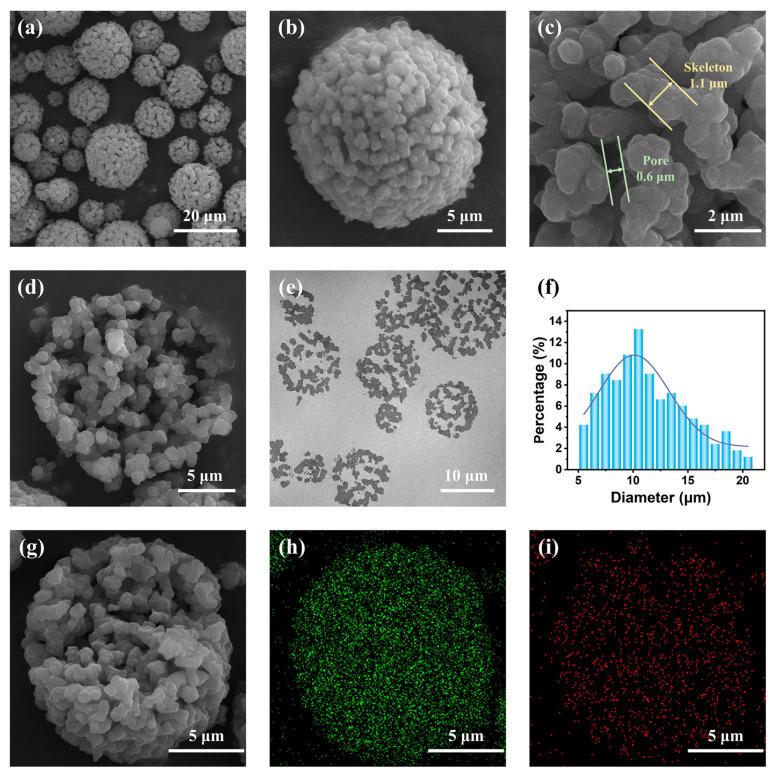 https://cdn.ncbi.nlm.nih.gov/pmc/blobs/252e/10974456/870173d3a6e3/molecules-29-01204-g002.jpg