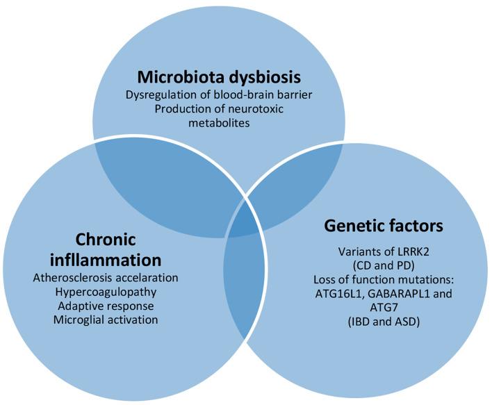 https://cdn.ncbi.nlm.nih.gov/pmc/blobs/252f/8510650/055967f94f8a/jocmr-13-466-g001.jpg