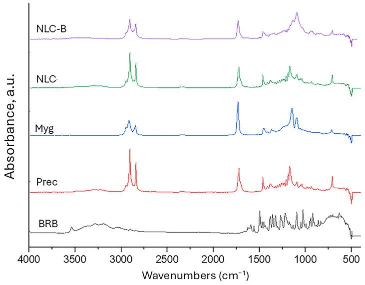 https://cdn.ncbi.nlm.nih.gov/pmc/blobs/2530/11945150/16bc67947c6a/pharmaceutics-17-00331-g003.jpg