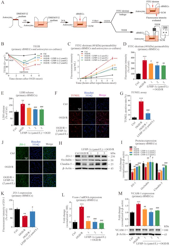 https://cdn.ncbi.nlm.nih.gov/pmc/blobs/2530/8343116/8f5f60638bac/gr2.jpg