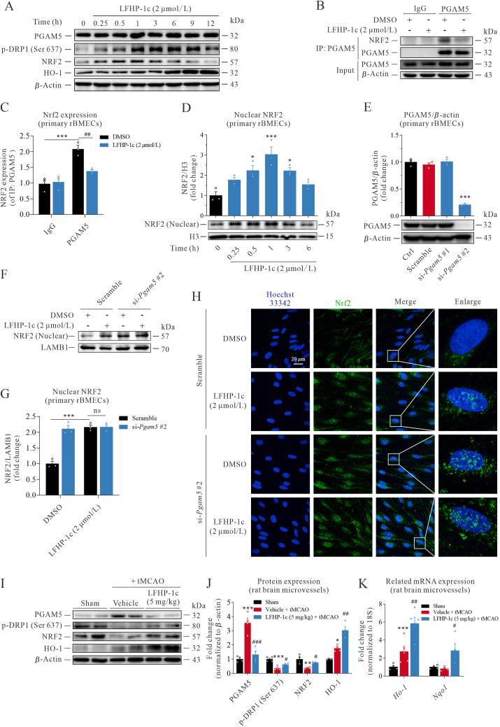 https://cdn.ncbi.nlm.nih.gov/pmc/blobs/2530/8343116/e239297ba51b/gr4.jpg