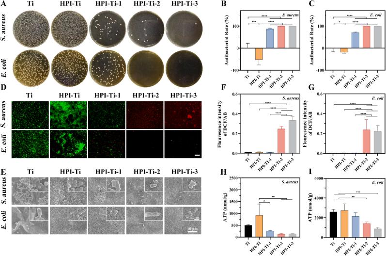 https://cdn.ncbi.nlm.nih.gov/pmc/blobs/2531/12145564/bbe5e7eca098/gr3.jpg
