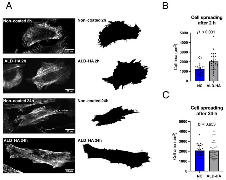 https://cdn.ncbi.nlm.nih.gov/pmc/blobs/2531/12195992/169ad7c5d5e1/nanomaterials-15-00887-g004.jpg