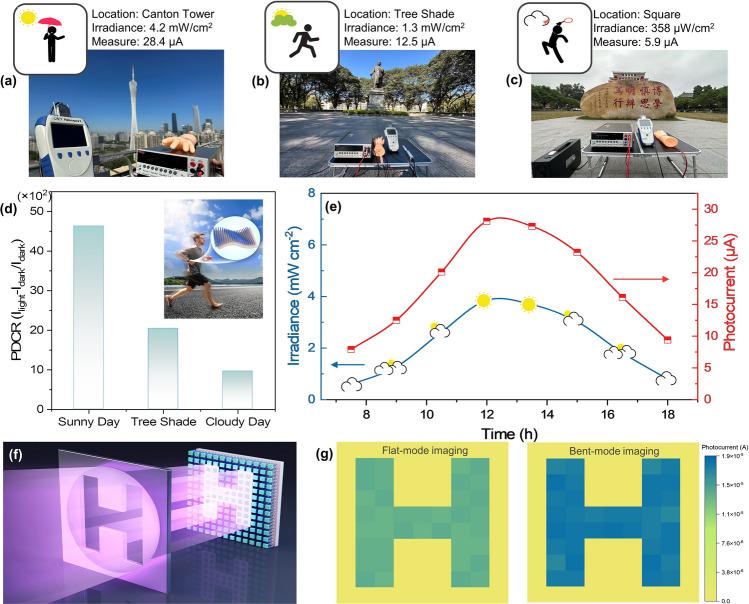 https://cdn.ncbi.nlm.nih.gov/pmc/blobs/2533/11534966/70b7cbcefe1a/40820_2024_1553_Fig6_HTML.jpg