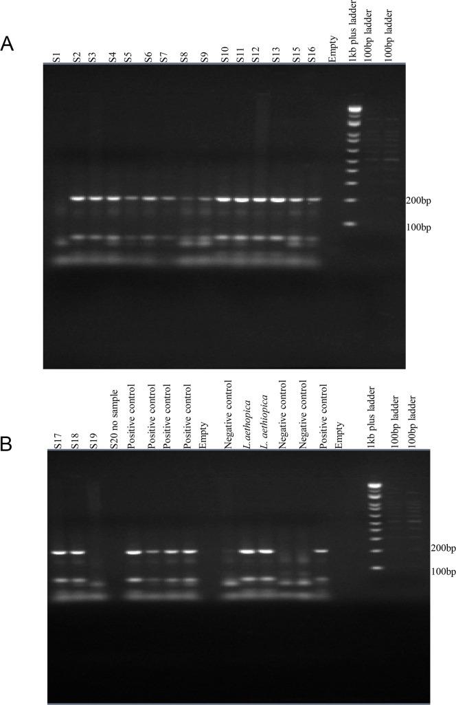 https://cdn.ncbi.nlm.nih.gov/pmc/blobs/2538/7473553/45ad5da7983e/pntd.0008507.g002.jpg