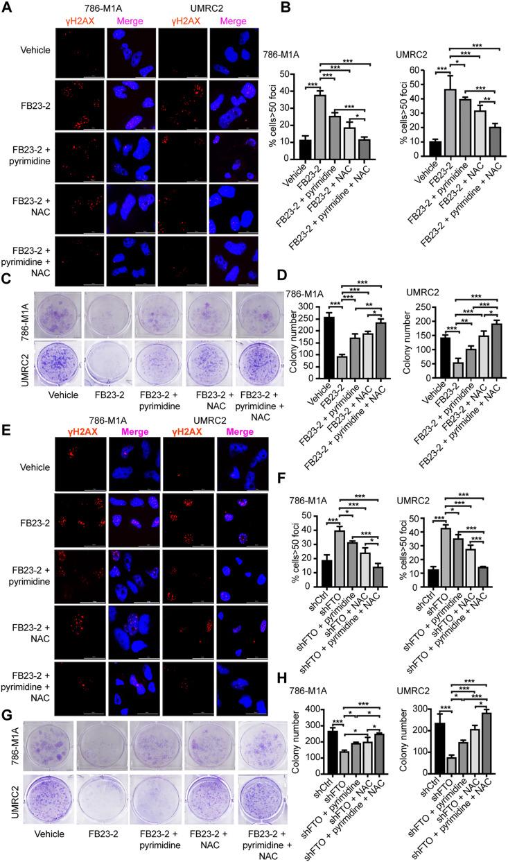 https://cdn.ncbi.nlm.nih.gov/pmc/blobs/2539/12175902/5a698af3ef40/sciadv.adv2417-f3.jpg