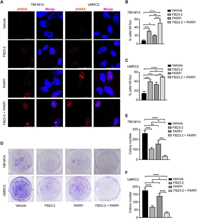https://cdn.ncbi.nlm.nih.gov/pmc/blobs/2539/12175902/d69d3d75c3fc/sciadv.adv2417-f5.jpg