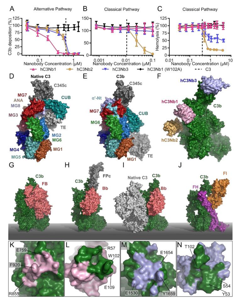 https://cdn.ncbi.nlm.nih.gov/pmc/blobs/253a/7922070/a3c62f9d0725/biomolecules-11-00298-g005.jpg