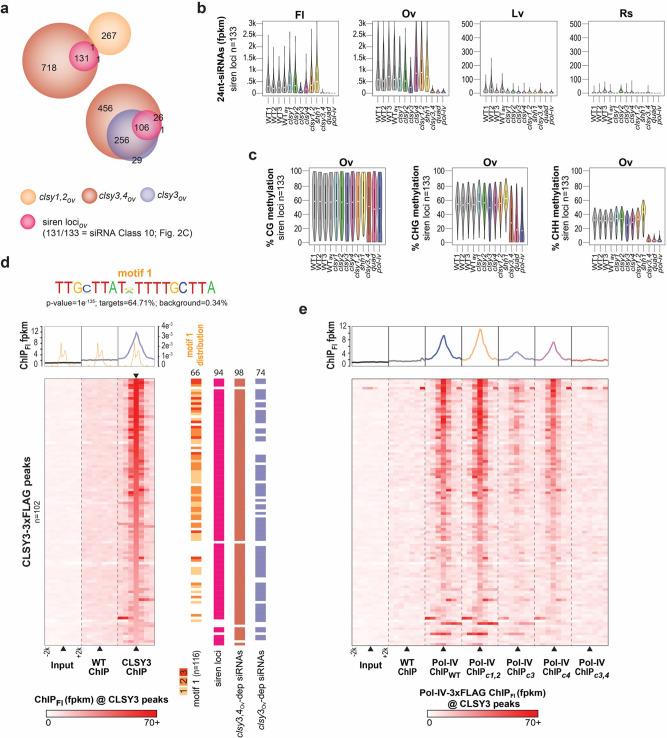 https://cdn.ncbi.nlm.nih.gov/pmc/blobs/253a/8752594/b1f169028ce7/41467_2021_27690_Fig4_HTML.jpg