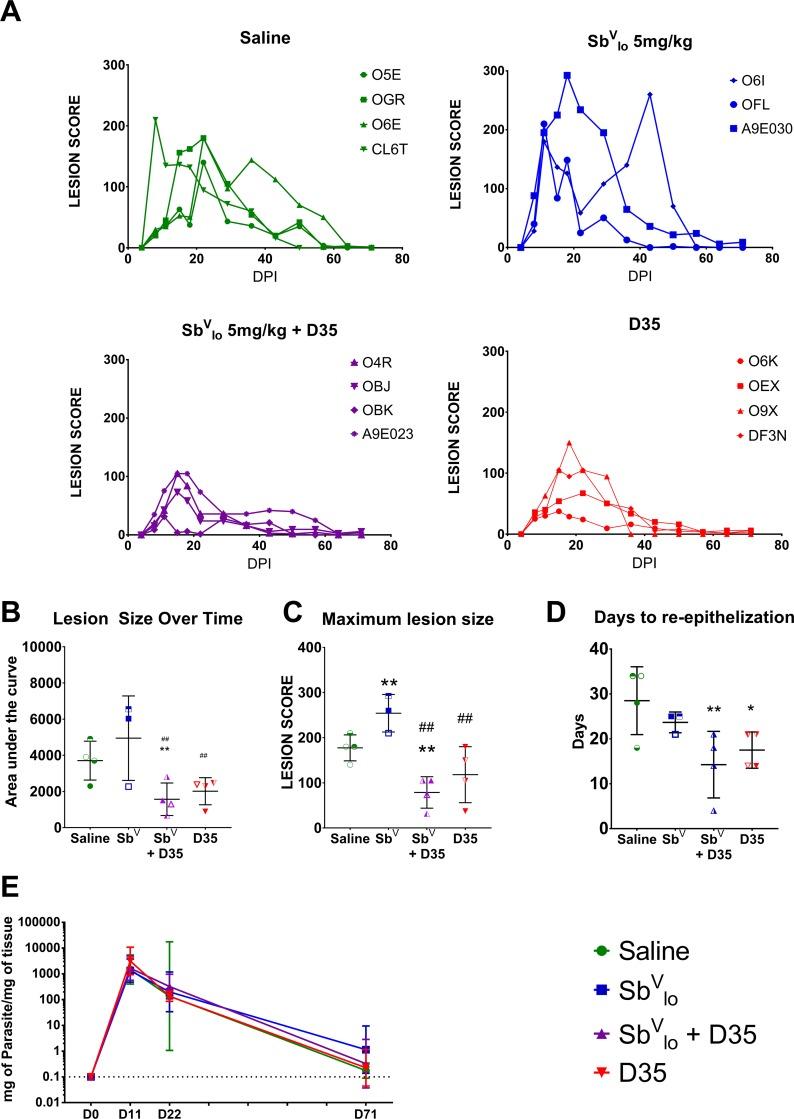 https://cdn.ncbi.nlm.nih.gov/pmc/blobs/2540/7075640/2584ea59a382/pntd.0008050.g007.jpg
