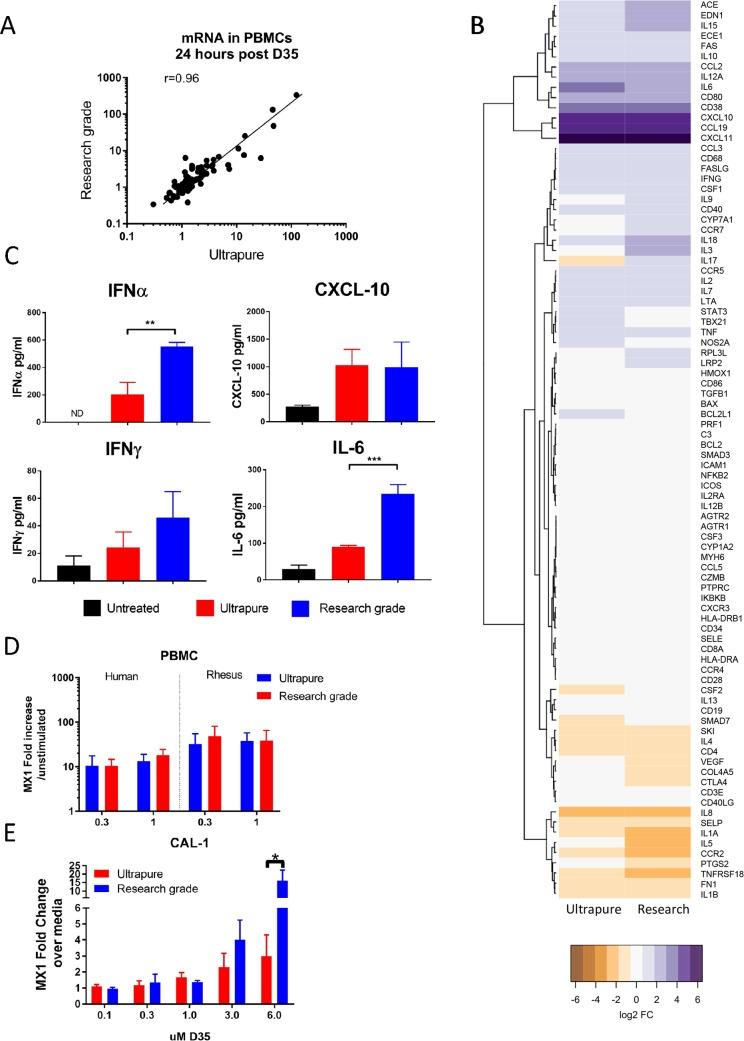 https://cdn.ncbi.nlm.nih.gov/pmc/blobs/2540/7075640/44f7eef49179/pntd.0008050.g001.jpg