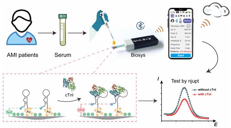 https://cdn.ncbi.nlm.nih.gov/pmc/blobs/2541/10377036/7eba0a2998ed/biosensors-13-00746-sch001.jpg