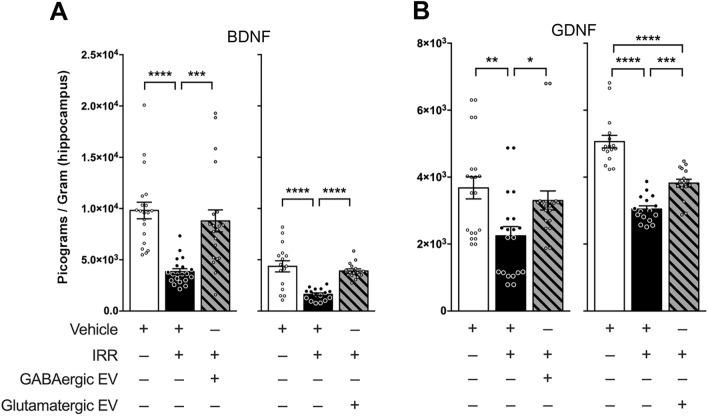 https://cdn.ncbi.nlm.nih.gov/pmc/blobs/2541/11133350/7c432fdfa6f3/41598_2024_62691_Fig5_HTML.jpg