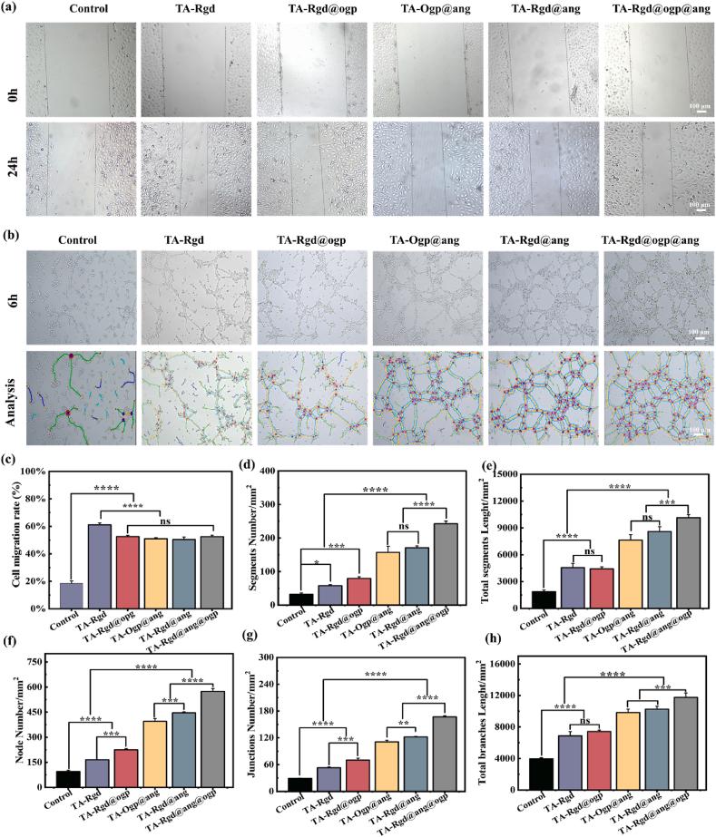 https://cdn.ncbi.nlm.nih.gov/pmc/blobs/2545/11298615/280e8868213a/gr5.jpg