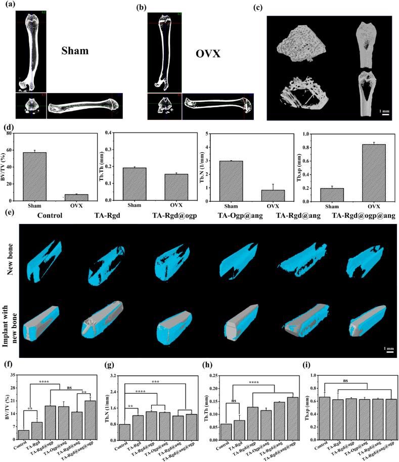 https://cdn.ncbi.nlm.nih.gov/pmc/blobs/2545/11298615/3b0b14577224/gr8.jpg