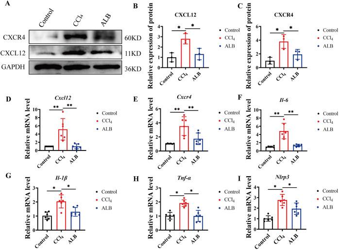 https://cdn.ncbi.nlm.nih.gov/pmc/blobs/2545/12074940/bd513d8b146d/fphar-16-1577201-g003.jpg