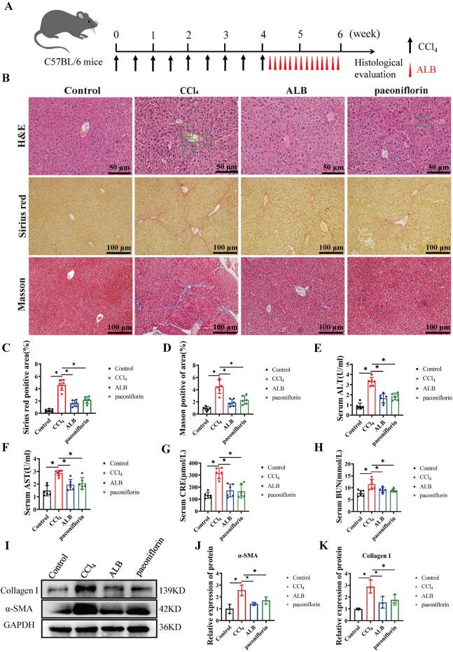 https://cdn.ncbi.nlm.nih.gov/pmc/blobs/2545/12074940/c5463697355c/fphar-16-1577201-g001.jpg