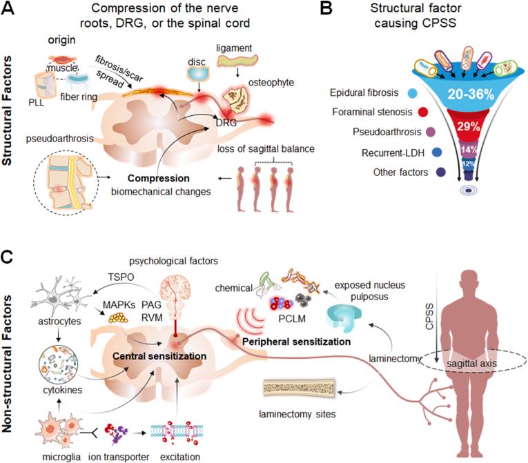 https://cdn.ncbi.nlm.nih.gov/pmc/blobs/2546/10562770/4169134aaaef/gr1.jpg