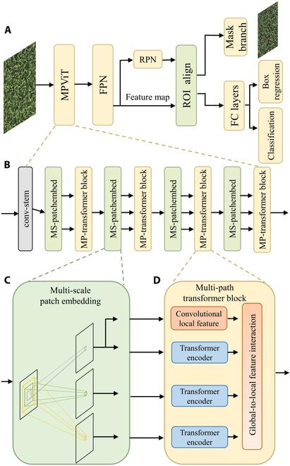 https://cdn.ncbi.nlm.nih.gov/pmc/blobs/2548/11499587/0c51a0bcac3e/plantphenomics.0265.fig.005.jpg
