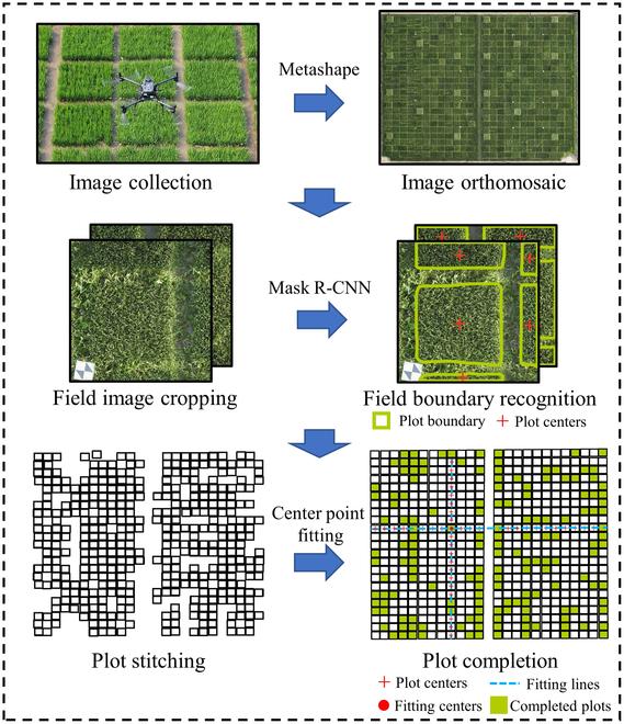https://cdn.ncbi.nlm.nih.gov/pmc/blobs/2548/11499587/185a16cbfa5b/plantphenomics.0265.fig.002.jpg