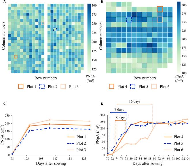 https://cdn.ncbi.nlm.nih.gov/pmc/blobs/2548/11499587/1f6f0e4ea2e6/plantphenomics.0265.fig.012.jpg