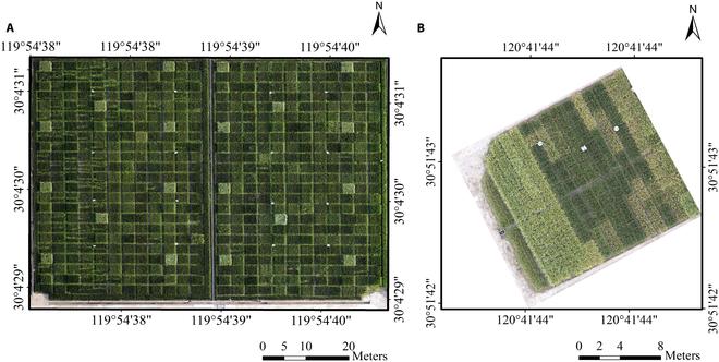https://cdn.ncbi.nlm.nih.gov/pmc/blobs/2548/11499587/2ad9237408fb/plantphenomics.0265.fig.001.jpg