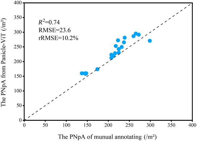 https://cdn.ncbi.nlm.nih.gov/pmc/blobs/2548/11499587/3d350f3d514e/plantphenomics.0265.fig.011.jpg