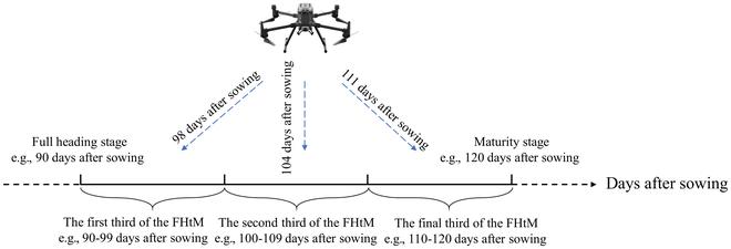 https://cdn.ncbi.nlm.nih.gov/pmc/blobs/2548/11499587/3fcae85723ac/plantphenomics.0265.fig.003.jpg