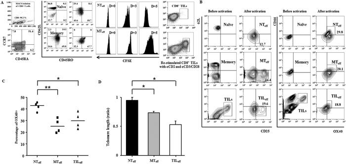 https://cdn.ncbi.nlm.nih.gov/pmc/blobs/2549/4910083/e11b1283e85c/srep28208-f1.jpg