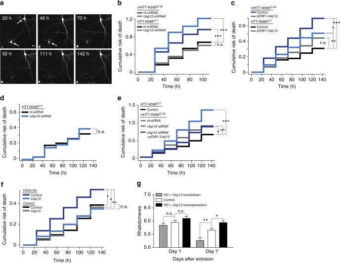 https://cdn.ncbi.nlm.nih.gov/pmc/blobs/254b/6162324/402c83ee7075/41467_2018_5653_Fig1_HTML.jpg