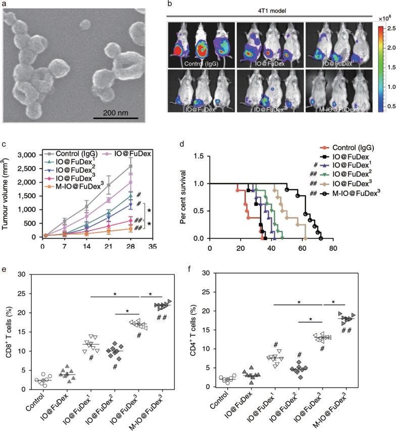 https://cdn.ncbi.nlm.nih.gov/pmc/blobs/254d/9805281/06d5edfb2af3/12951_2022_1760_Fig4_HTML.jpg