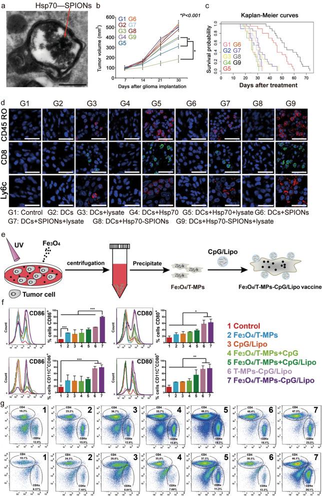 https://cdn.ncbi.nlm.nih.gov/pmc/blobs/254d/9805281/854500c7bf3b/12951_2022_1760_Fig3_HTML.jpg