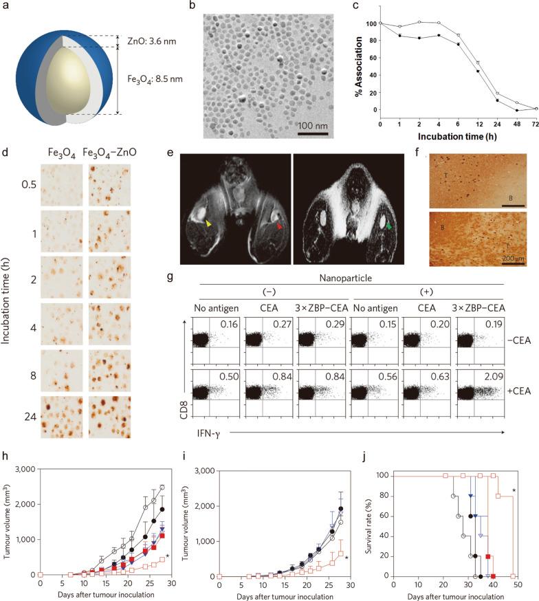 https://cdn.ncbi.nlm.nih.gov/pmc/blobs/254d/9805281/aa90dd0447c6/12951_2022_1760_Fig2_HTML.jpg