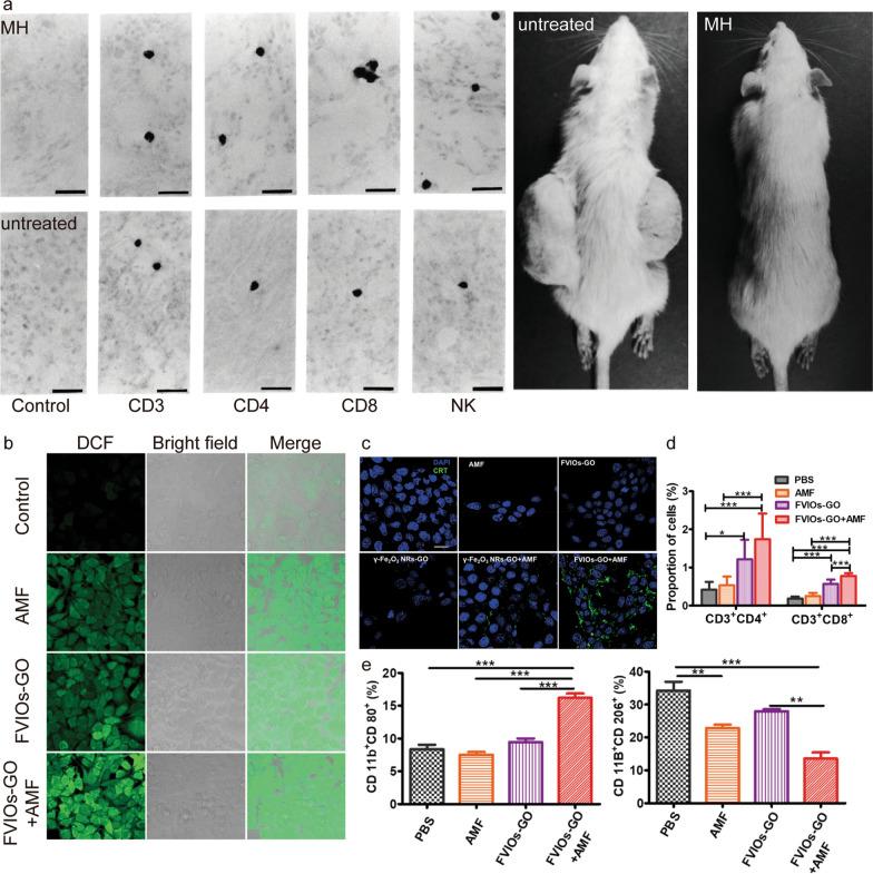 https://cdn.ncbi.nlm.nih.gov/pmc/blobs/254d/9805281/cc0a51761996/12951_2022_1760_Fig8_HTML.jpg