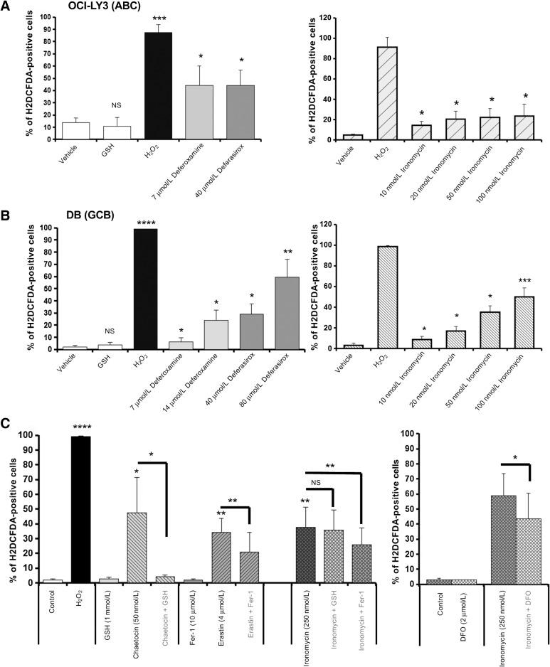 https://cdn.ncbi.nlm.nih.gov/pmc/blobs/254e/9359736/ef6a050975fd/998fig4.jpg