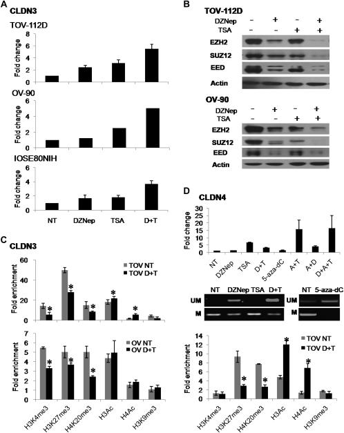 https://cdn.ncbi.nlm.nih.gov/pmc/blobs/254f/2878357/295302c17e13/carcinbgp336f05_ht.jpg