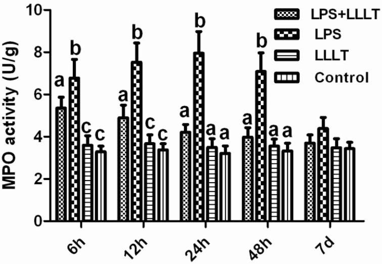 https://cdn.ncbi.nlm.nih.gov/pmc/blobs/2553/4272976/77bd1308c924/jvms-76-1443-g006.jpg