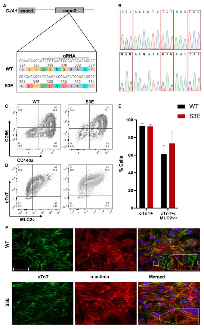 https://cdn.ncbi.nlm.nih.gov/pmc/blobs/2555/10813327/f704059ba13b/biomolecules-14-00061-g001.jpg