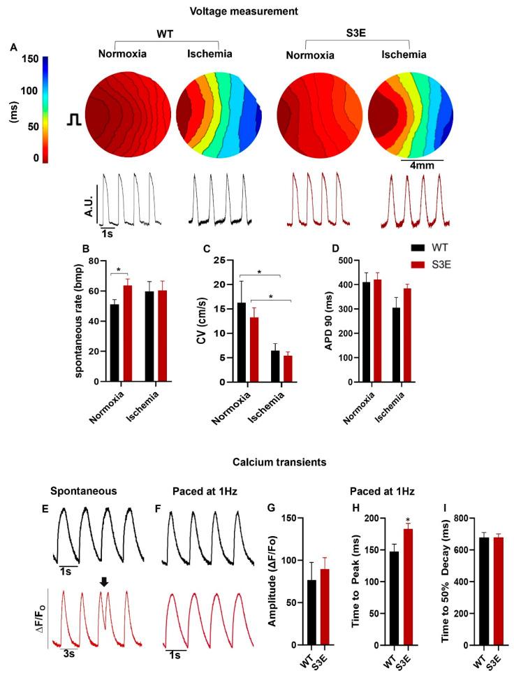 https://cdn.ncbi.nlm.nih.gov/pmc/blobs/2555/10813327/f943a186d576/biomolecules-14-00061-g003.jpg